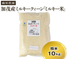 定期便6ヶ月毎月お届け】新潟産コシヒカリ「伝ゴールド」白米真空