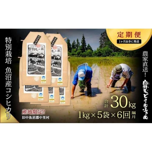 通年受付】≪令和5年産≫【定期便／1ヶ月おき全6回】農家直送！魚沼産