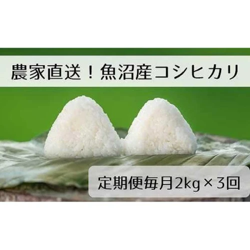 定期便／全3回】精米2kg 新潟県魚沼産コシヒカリ「山清水米」