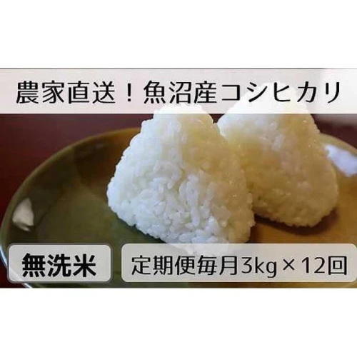 定期便／全12回】無洗米3kg 新潟県魚沼産コシヒカリ「山清水米」