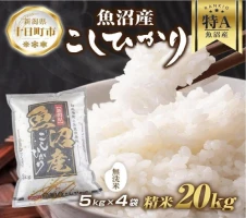 DE75 新潟県 魚沼産 備蓄 コシヒカリ ご飯 200g×20 パック ごはん