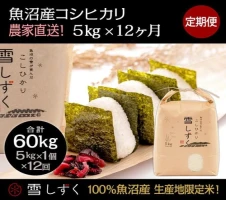 DE75 新潟県 魚沼産 備蓄 コシヒカリ ご飯 200g×20 パック ごはん