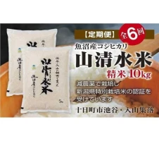 通年受付】≪令和5年産≫【定期便／1ヶ月おき全6回】農家直送！魚沼産