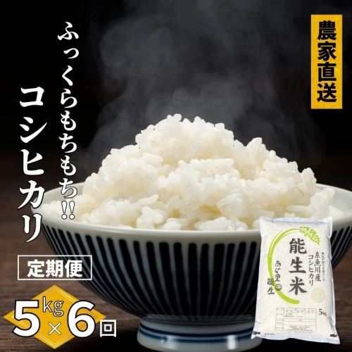 6ヶ月定期便】【令和5年産新米】新潟県産コシヒカリ『能生米』5kg×6回