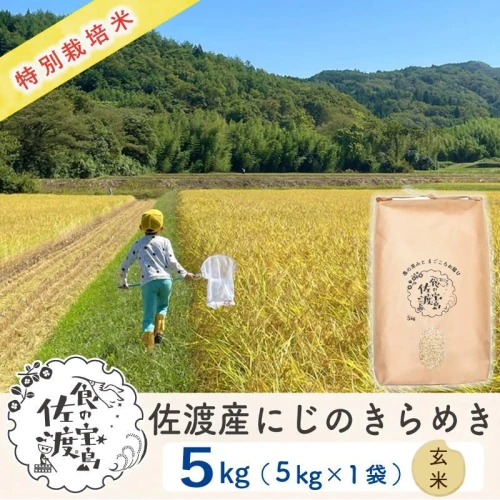 新米】特別栽培米 佐渡島産 にじのきらめき 玄米5kg×1袋 | お米 こめ