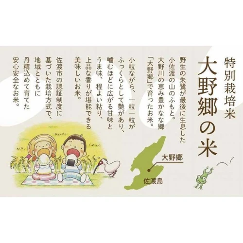 令和5年産新米】佐渡島産 特別栽培米こしひかり「大野郷の米」精米5kg