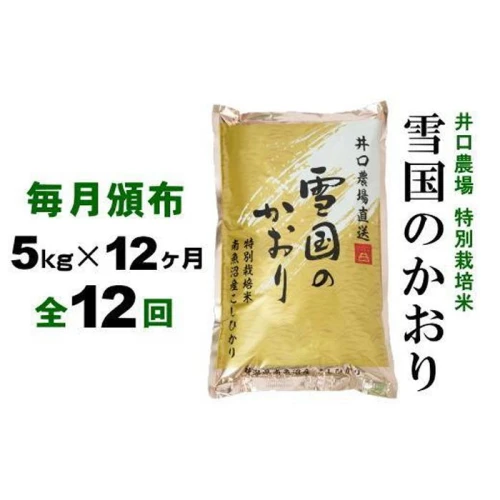 定期便 南魚沼産コシヒカリ「雪国のかおり」5kg毎月頒布（1年間 全12回