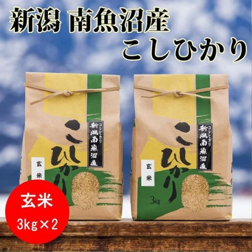 頒布会】【令和5年産 新米】南魚沼産コシヒカリ(玄米3kg×2袋)を全3回