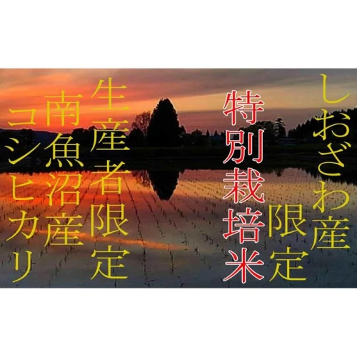 定期便10kg×9ヶ月】特別栽培 しおざわ産限定 生産者限定 南魚沼産