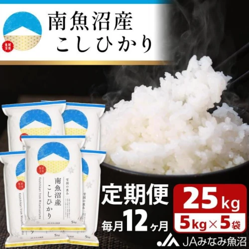 JAみなみ魚沼定期便】南魚沼産こしひかり（25kg×全12回） | 魚沼産