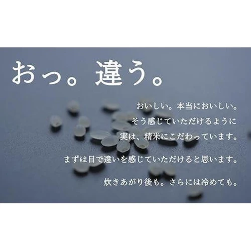 定期便】令和5年産 南魚沼産コシヒカリ『塩沢地区100%』2kg×2袋 12ヶ月