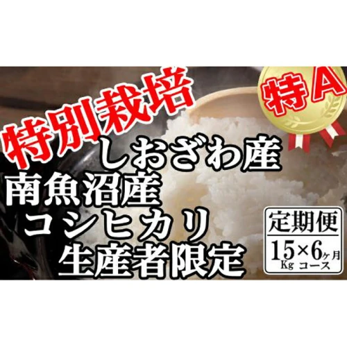 定期便：15Kg×6ヶ月】特別栽培 生産者限定 南魚沼しおざわ産コシヒカリ