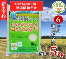 20-06生味噌16割麹6kg【無添加・新潟産米と大豆100％使用】（五十嵐