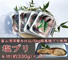 魚卸問屋の塩麹漬A「甘エビ・バイ貝・紅ズワイガニ」 はりたや 【 海老