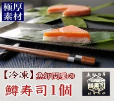 四季の揚げかまぼこ10種セット 蒲鉾 カマボコ 富山 魚津 【練り物・魚