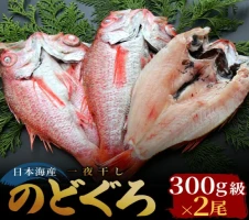 魚卸問屋の塩麹漬A「甘エビ・バイ貝・紅ズワイガニ」 はりたや 【 海老