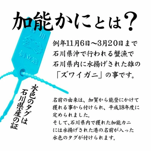 先行予約】石川県産 香箱かに/せいこ 小サイズ 10匹 詰合せ | 期間限定