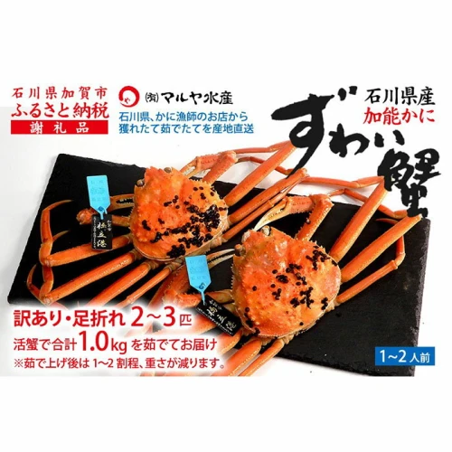 石川県産 加能かに/ズワイガニ ( 産地証明タグ付 ) 訳あり 足折れ 小