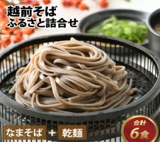 越前そば 生蕎麦 10食つゆ付き / そば 越前蕎麦 蕎麦 生そば ソバ 越前