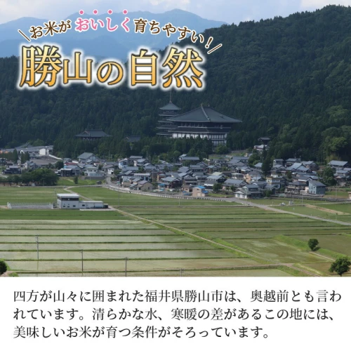 ふるさと納税 福井県 勝山市 『定期便』 令和4年産 勝山のお米