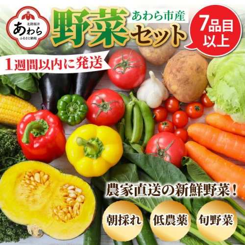 ふるさと納税｜ 【1週間以内に発送！】農家直送 旬の野菜セット 7品目