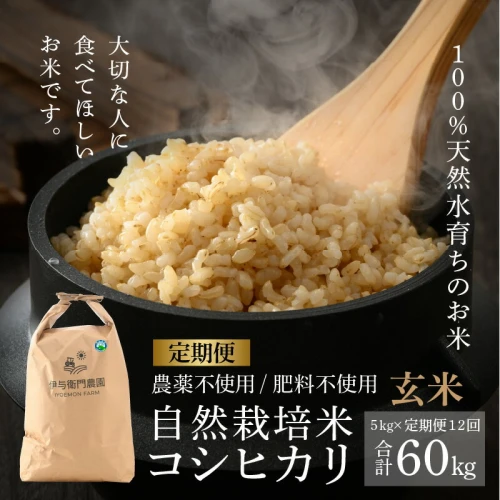 【新米】滋賀県産　環境こだわり米こしひかり60kg玄米