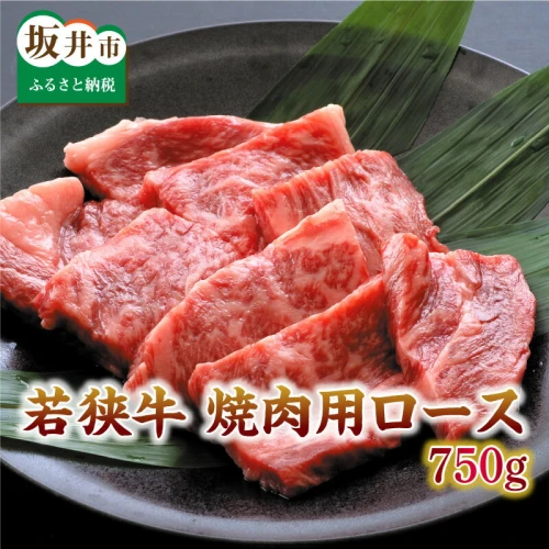 坂井市産 福井県産 (国産 和牛) とろける若狭牛ロース 750g ≪焼肉