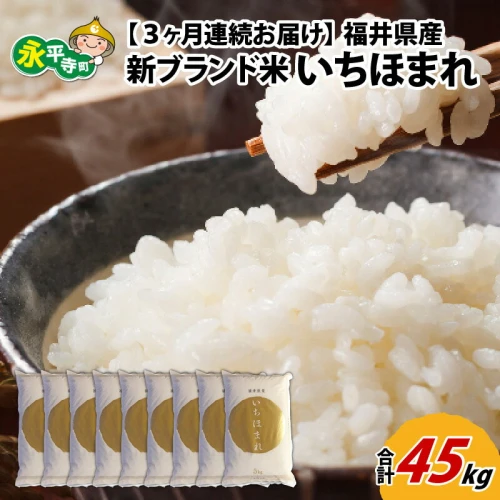 3ヶ月連続お届け】令和5年度産 福井県産新ブランド米 いちほまれ 15kg