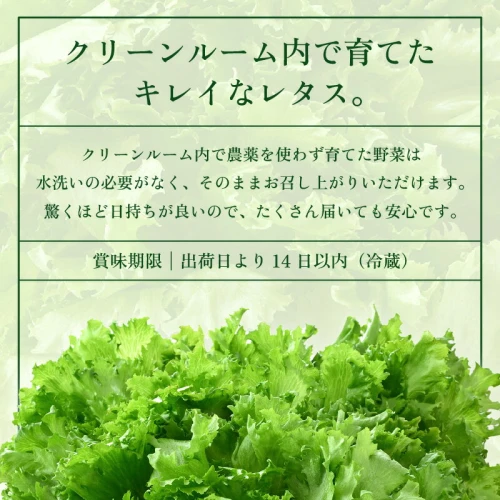 低カリウムレタス 美野菜 「JOIA」20袋 クリーンルーム栽培 無農薬