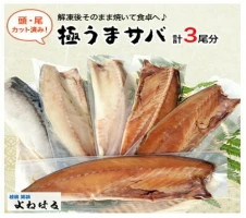 若狭特産】鯖のへしこ 4種 計10個（半身2個 1/4切2個 スライスパック2