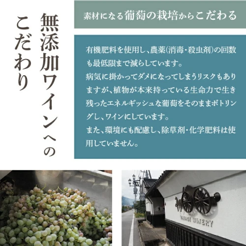 無添加ワイン6本セット 甲斐國一宮と紅一点 ふるさと納税 ワイン 笛吹