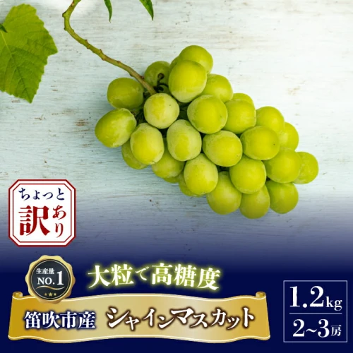 2024年先行予約＞ちょっと訳アリ 『シャインマスカット』 山梨県産ぶどう 青秀品 2～3房 計約1.2kg ※冷蔵 JAふえふき ふるさと納税 シャインマスカット  訳あり ぶどう ブドウ 葡萄 山梨県 笛吹市 203-012
