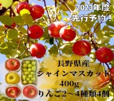 先行予約 長野県産りんご2～4種類4個シャインマスカット400g 2024年