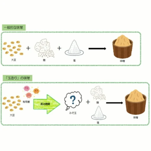 味噌 食べ比べ 長野県産 計2.1kg ( 700g × 3種 ) 信州松本 | みそ 食品