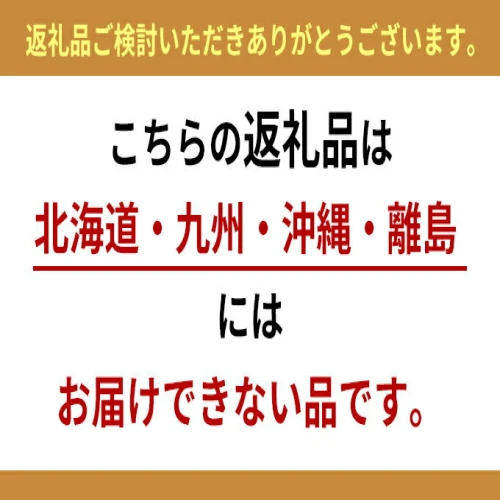 信州高原塩熟野菜（オレンジクイン）約10kg 4玉 【 産地直送 葉物野菜