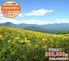 長野県茅野市の対象施設で使える楽天トラベルクーポン寄付額500,000円