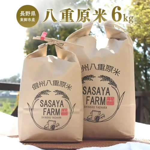 八重原米 精米 6kg (2kg×3袋) お米 コシヒカリ白米 甘い 自宅用 家庭用