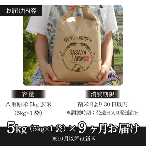 9回定期便）八重原米 玄米 5kg (5kg×1袋) お米 コシヒカリ 甘い 長野県