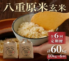 令和5年産米新米予約！東御市産 特別栽培米「風さやか」約10kg 新米 お