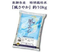 令和5年産米新米予約！東御市産 特別栽培米「風さやか」約10kg 新米 お