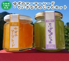 中井侍銘茶（一袋100g入り）5袋セット（お茶 茶葉 日本茶 緑茶 国産 手