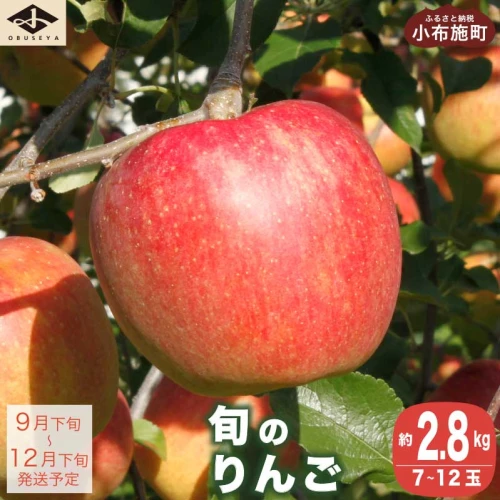 長野県産 季節の旬のりんご 約2.8kg 7～12玉 ［小布施屋］ 2023年9月
