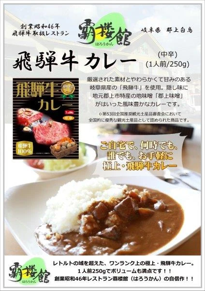 ふるさと納税 岐阜県 覇楼館・飛騨牛カレー1人前(250g)×14個セット-