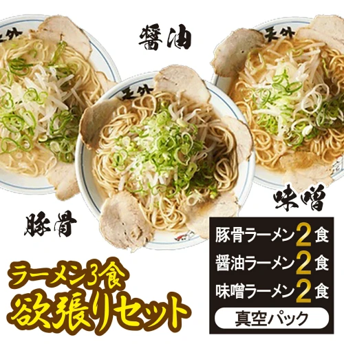 岐阜老舗ラーメン店天外 ラーメン3食欲張りセット（醤油・味噌・豚骨