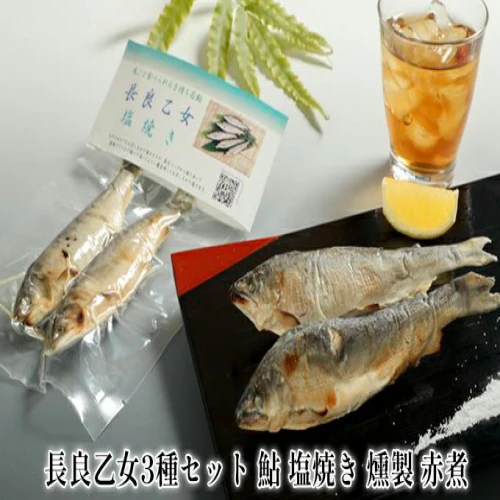 長良乙女3種セット 鮎 塩焼き 燻製 赤煮 【 和食 惣菜 魚 若鮎 子持ち