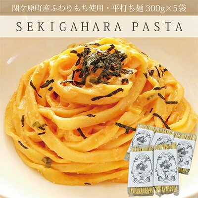 関ケ原町産ふわりもち使用 関ケ原パスタ（平打ち麺）計1500g（300g×5袋