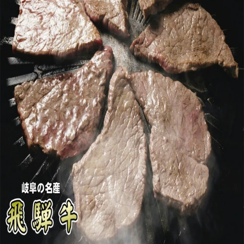 ふるさと納税 揖斐川町 「A5等級」飛騨牛赤身肉焼肉用1kg モモ又はカタ肉-