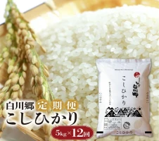 定期便 】 訳あり 飛騨牛 切落し 3回 計1.8kg ( 600g ×3回