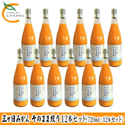 2024年2月以降順次発送】三ヶ日みかん そのまま絞り 12本セット（720ml