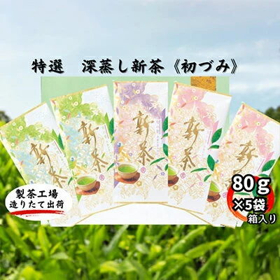 深蒸し新茶☆初づみ☆平箱（80×5袋）銘茶 厳選 袋井市 【お茶・緑茶